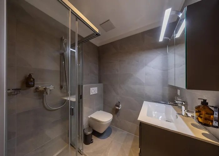 Le Chamois L Ski-out L Standing Siviez