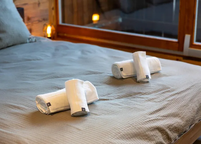 Le Chamois L Ski-out L Standing * Siviez