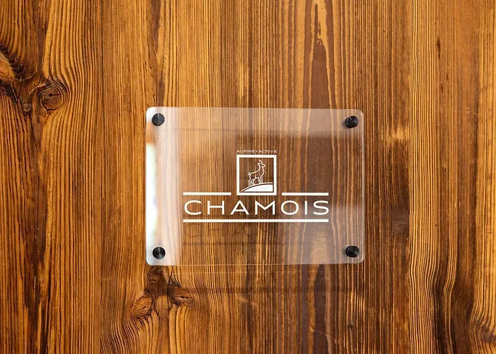 Daire Le Chamois L Ski-out L Standing *